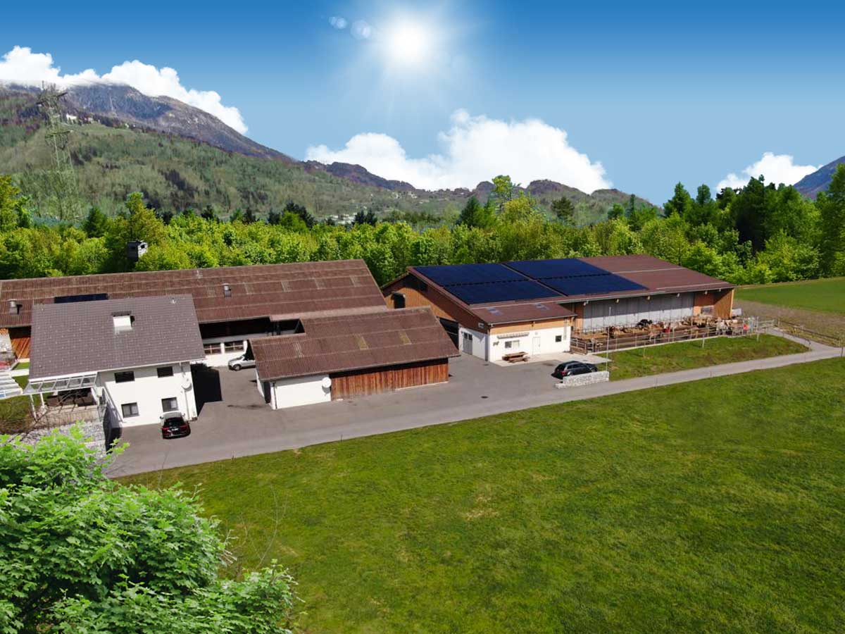 Telser Wiesen und Weiden